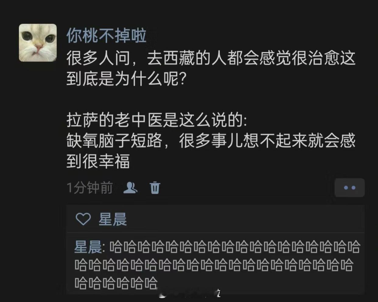 哈哈哈哈哈哈哈哈哈哈哈哈哈是时候去一趟西藏了 ​​​