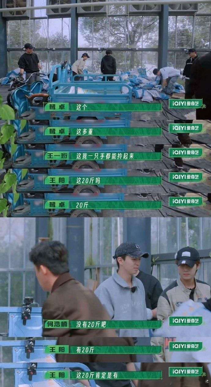 王阳初露锋芒，从捉鸡起步，竟一跃成高手！这实力飙升，令人惊叹，初体验就如此惊艳，