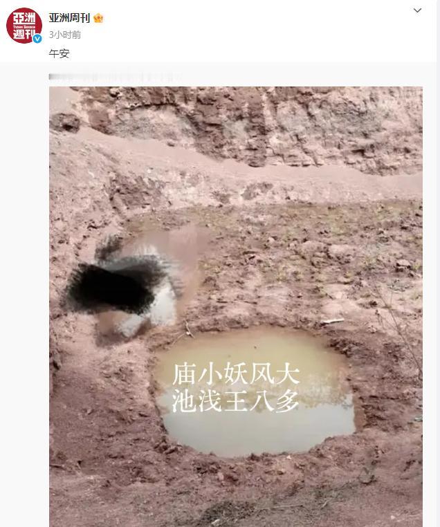 亚洲周刊发文配图：庙小妖风大，水浅王八多。[抠鼻]