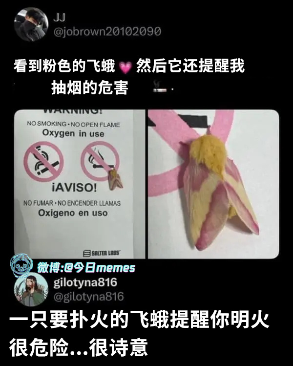 我来（9gag）今日meme 今日memes