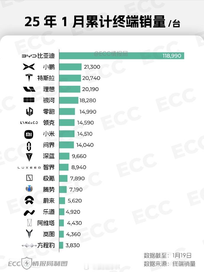 由制作，2025年1月累计终端销量。看点挺多，自行发掘，几家欢喜几家愁  