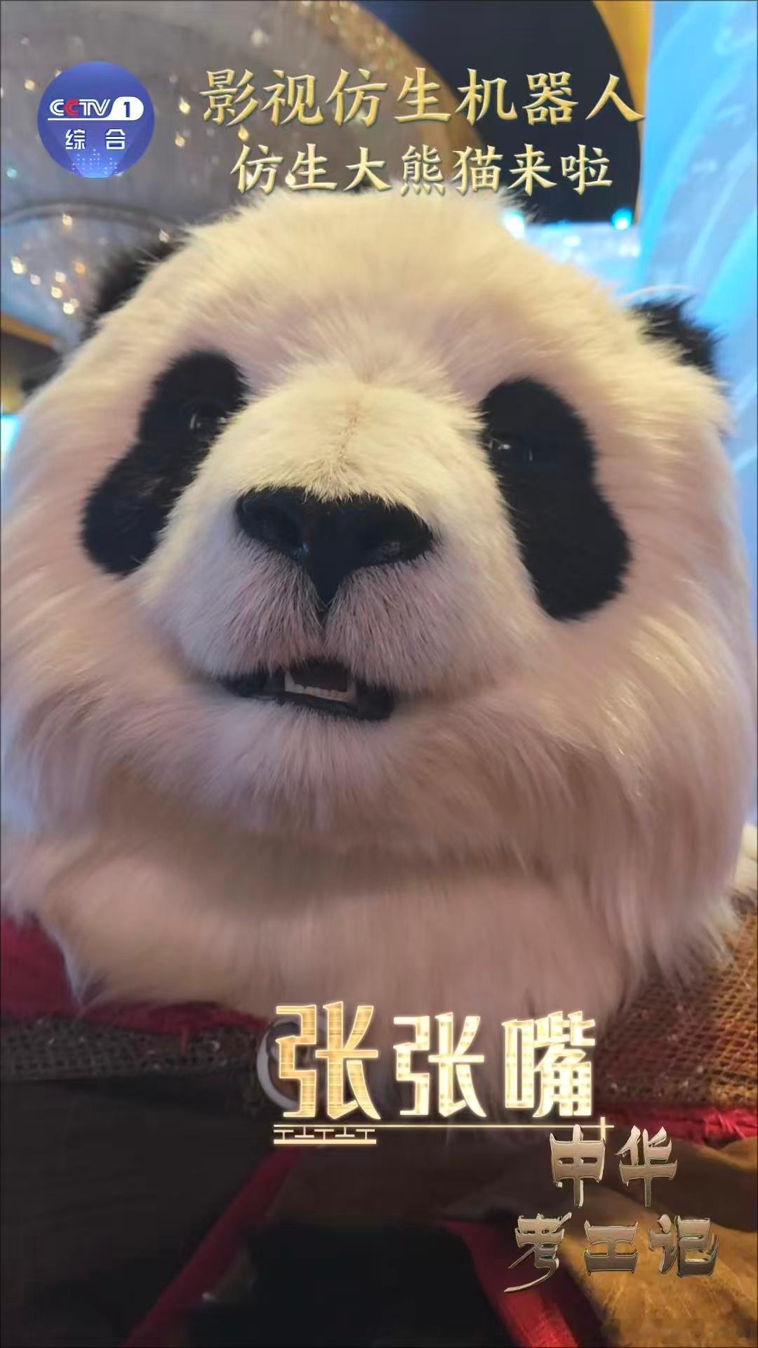 大熊猫机器人真的来了重新定义服务机器人标准！仿生运动控制系统赋予极致灵活性，智能
