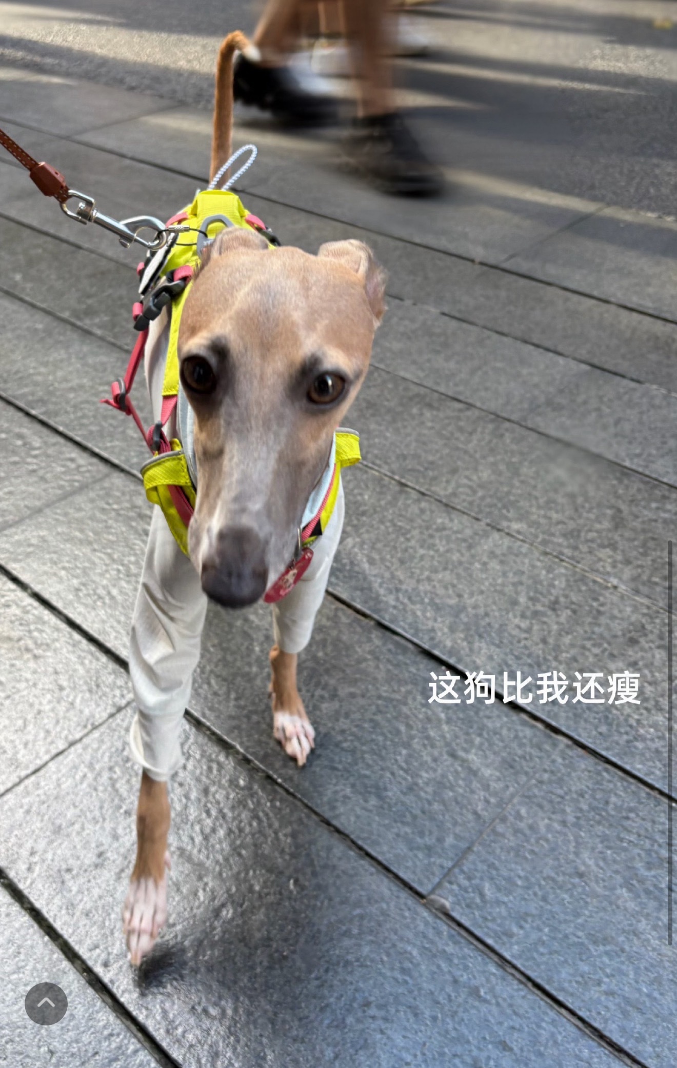莫名其妙的笑了一下 张泽禹05后第一歌手 ​​​