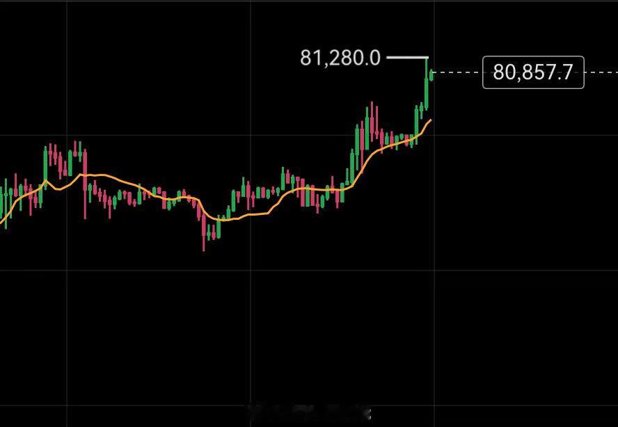能哥今天不打算哆，没有这方面的计划。 