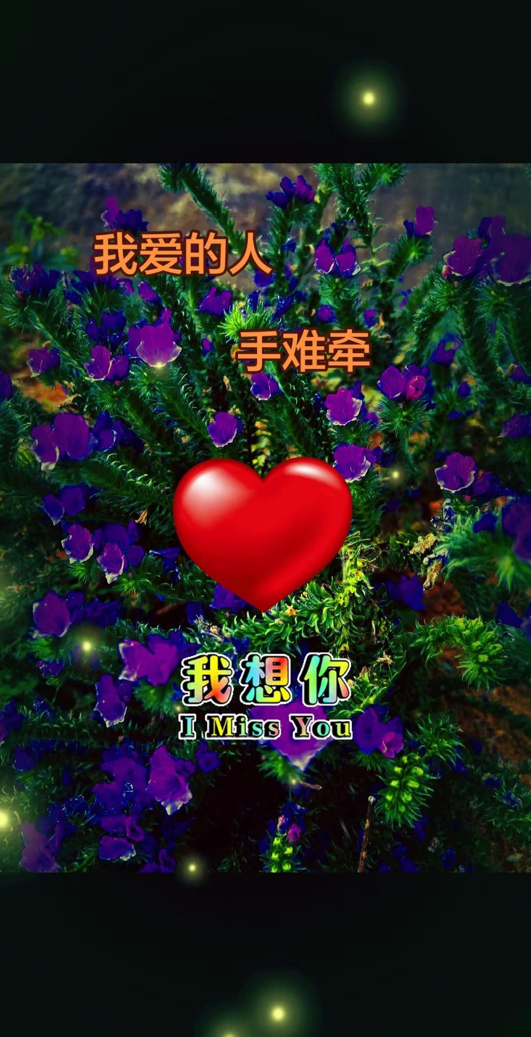 我爱的人手难牵