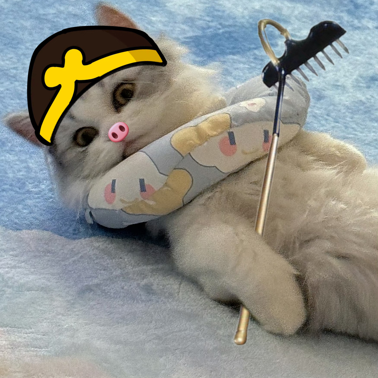 养猪能手 