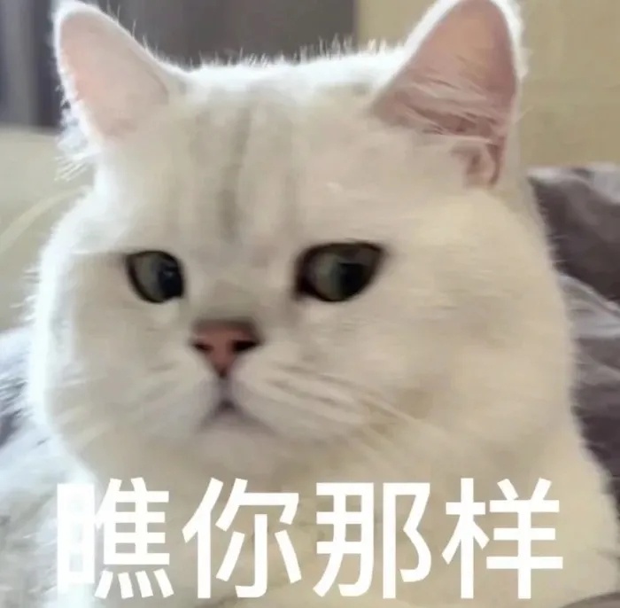 大学生期末周的心态：怒而背之，背而忘之，忘而倦之，倦而玩之，玩而惧之，惧而悔之，