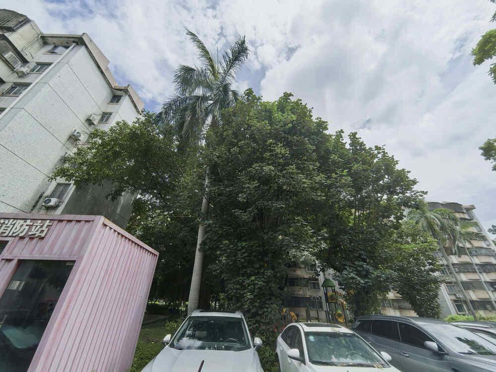 五味杂陈！家庭发生变故，住房只能尽快处理[泣不成声][泣不成声]
家庭出现感情变