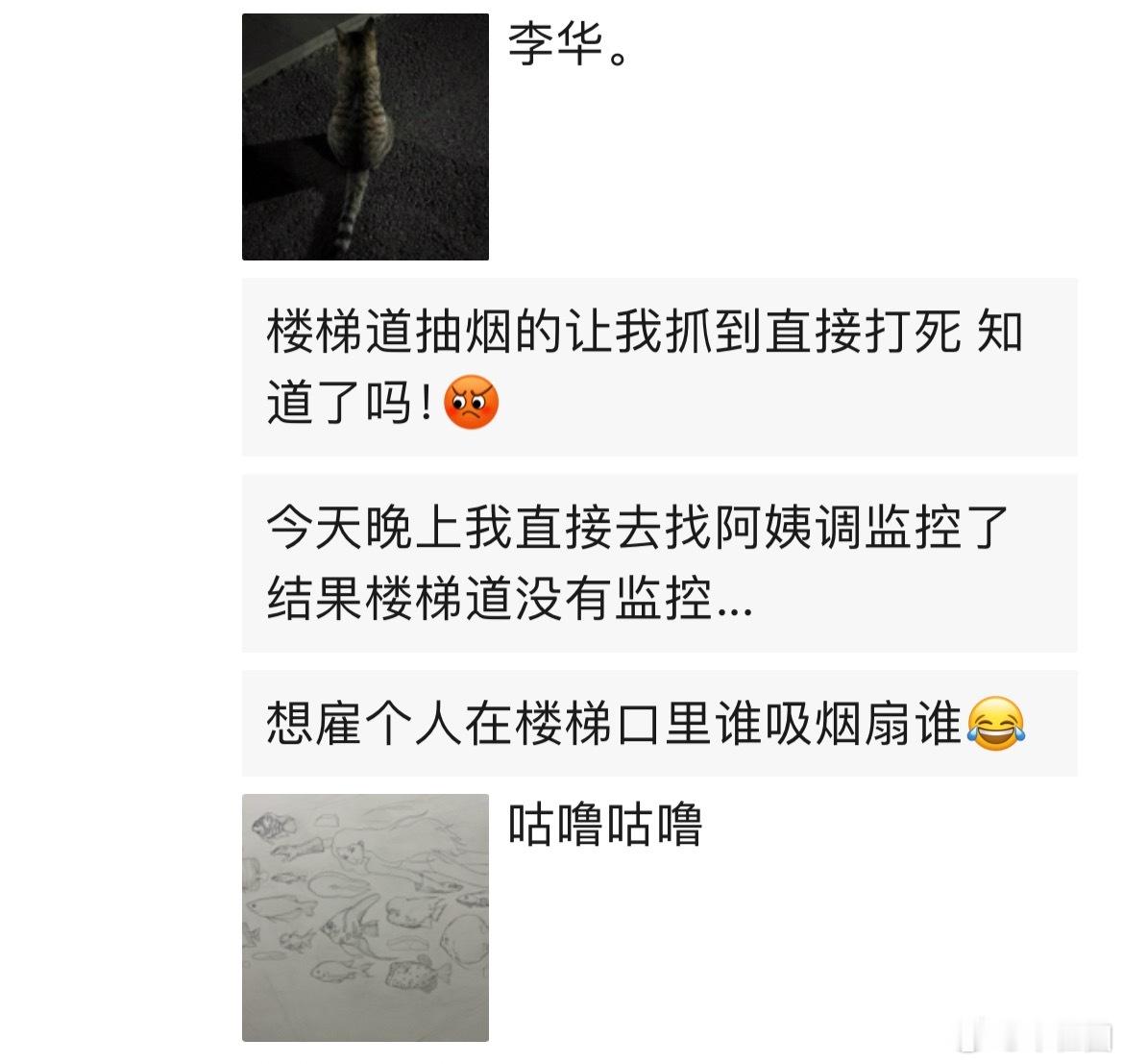 情绪波动大得像多重人格了有点