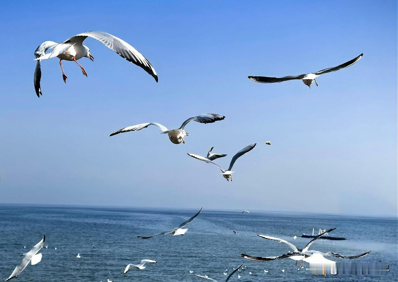 要说今年最值得一笔花费，当然是为期14天的新疆旅游喽。花了多少呢？

新疆那么美