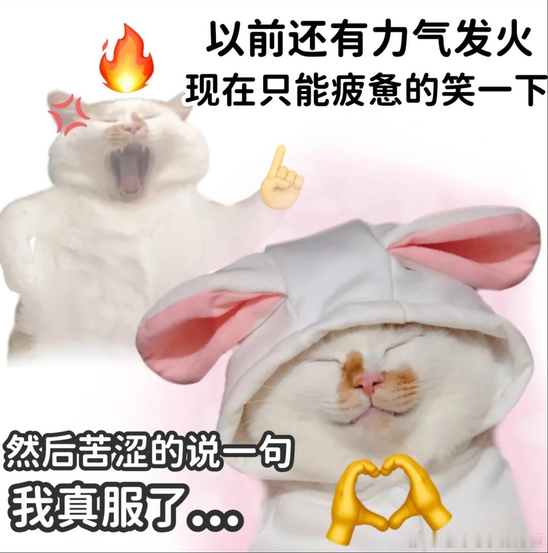 我复工belike沈腾 建议列为复工宣传片！沈腾张驰的呆滞脸，像极了对着电脑的我