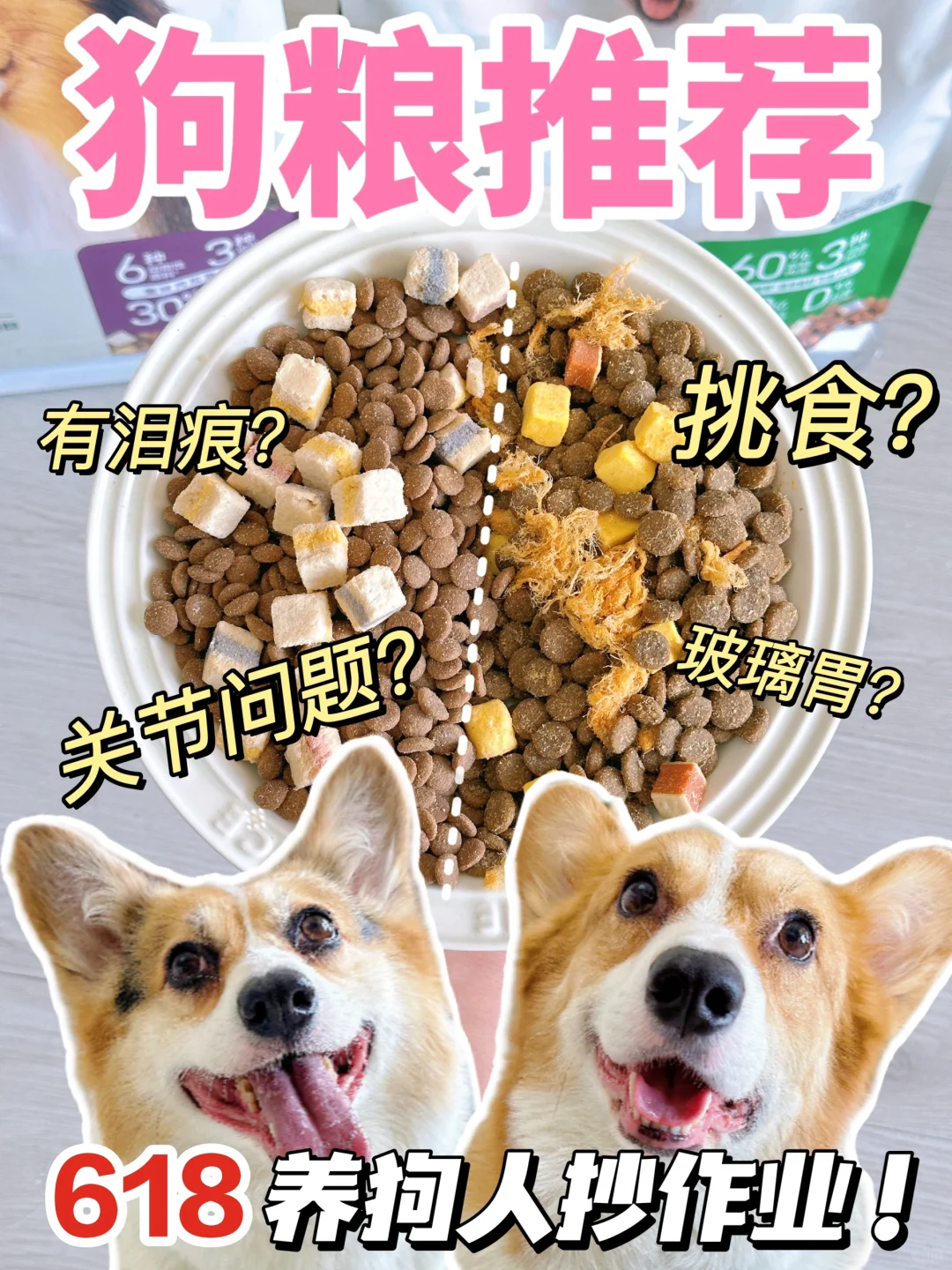 618新手选粮快来看！7年养狗经验分享