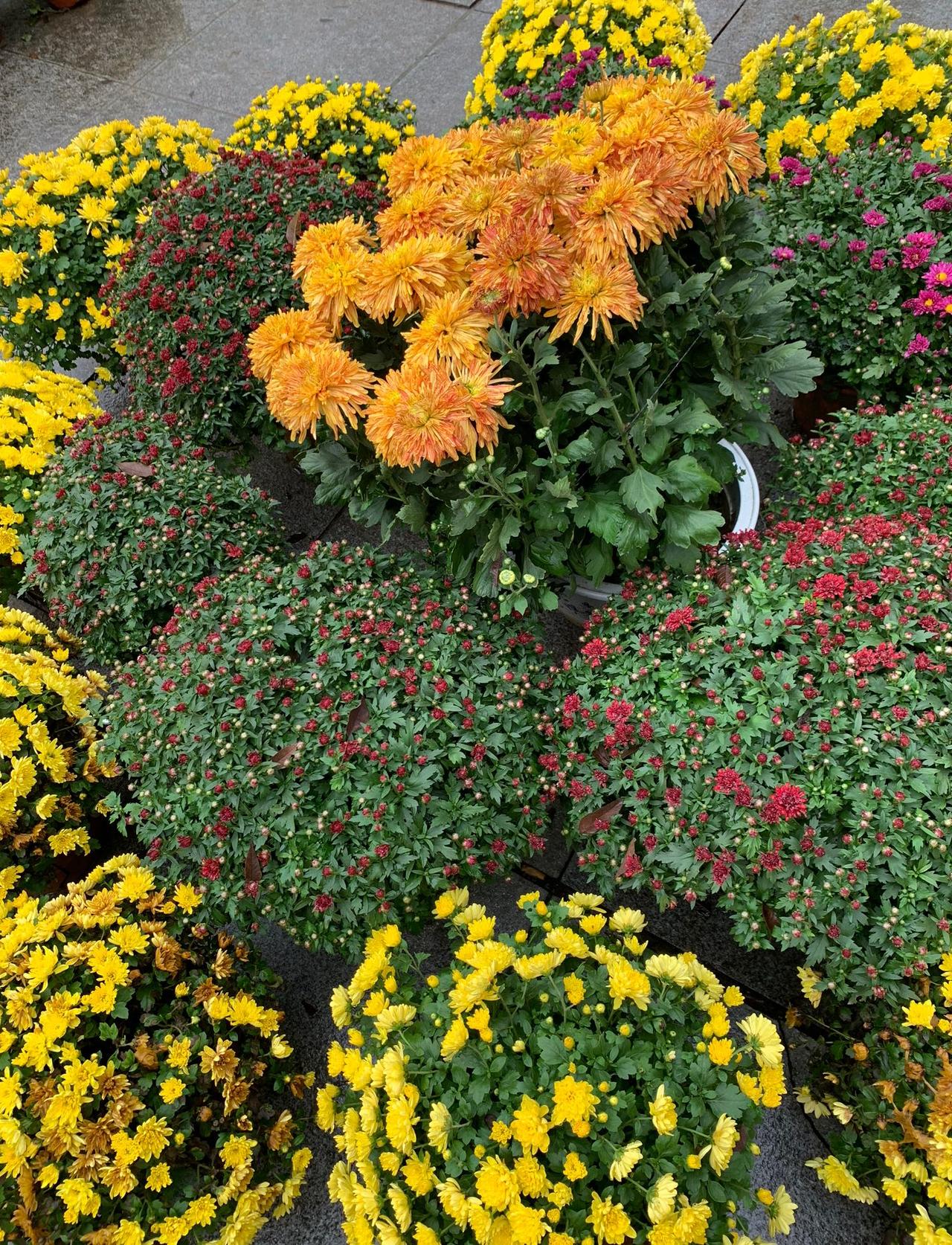 大课间时，听办公室的王老师讲起一件事，我深受感动。

他的父母相继离世后，那栋住