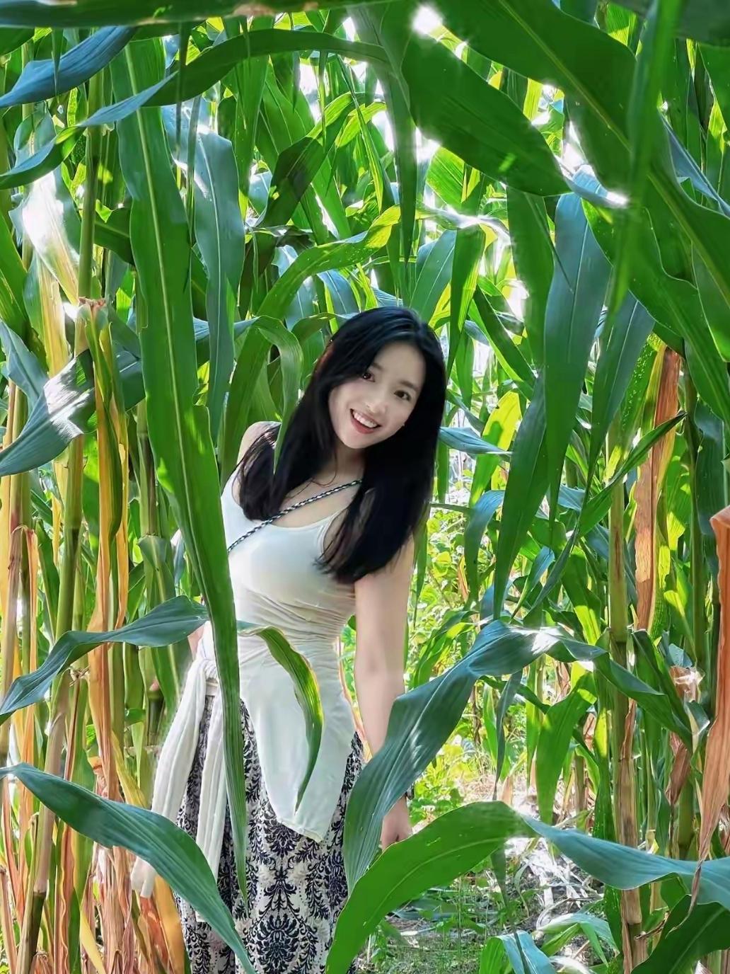 红粱落晚（现代诗）
 
风路过田埂，高粱就红透了半生
枯秆挺着笨拙的骨，扎进荒凉