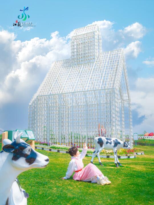 发pyq问爆了，都以为我出国了