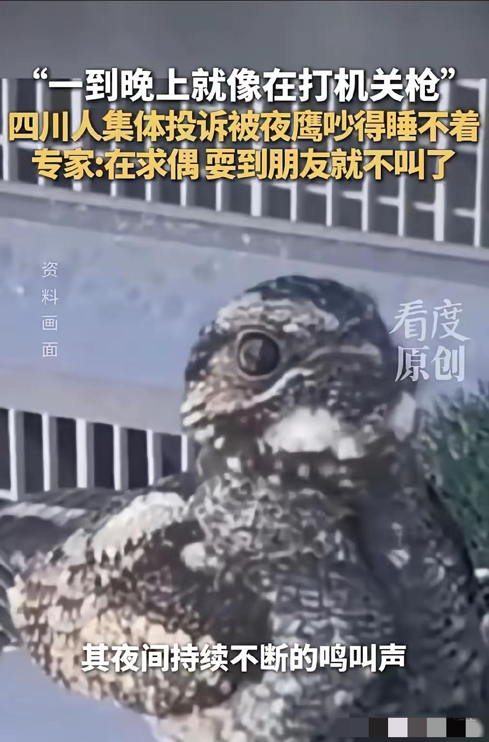 求你了，快脱单吧！封面新闻5月14日报道，深夜 “机关枪声” 响彻四川多城，居民