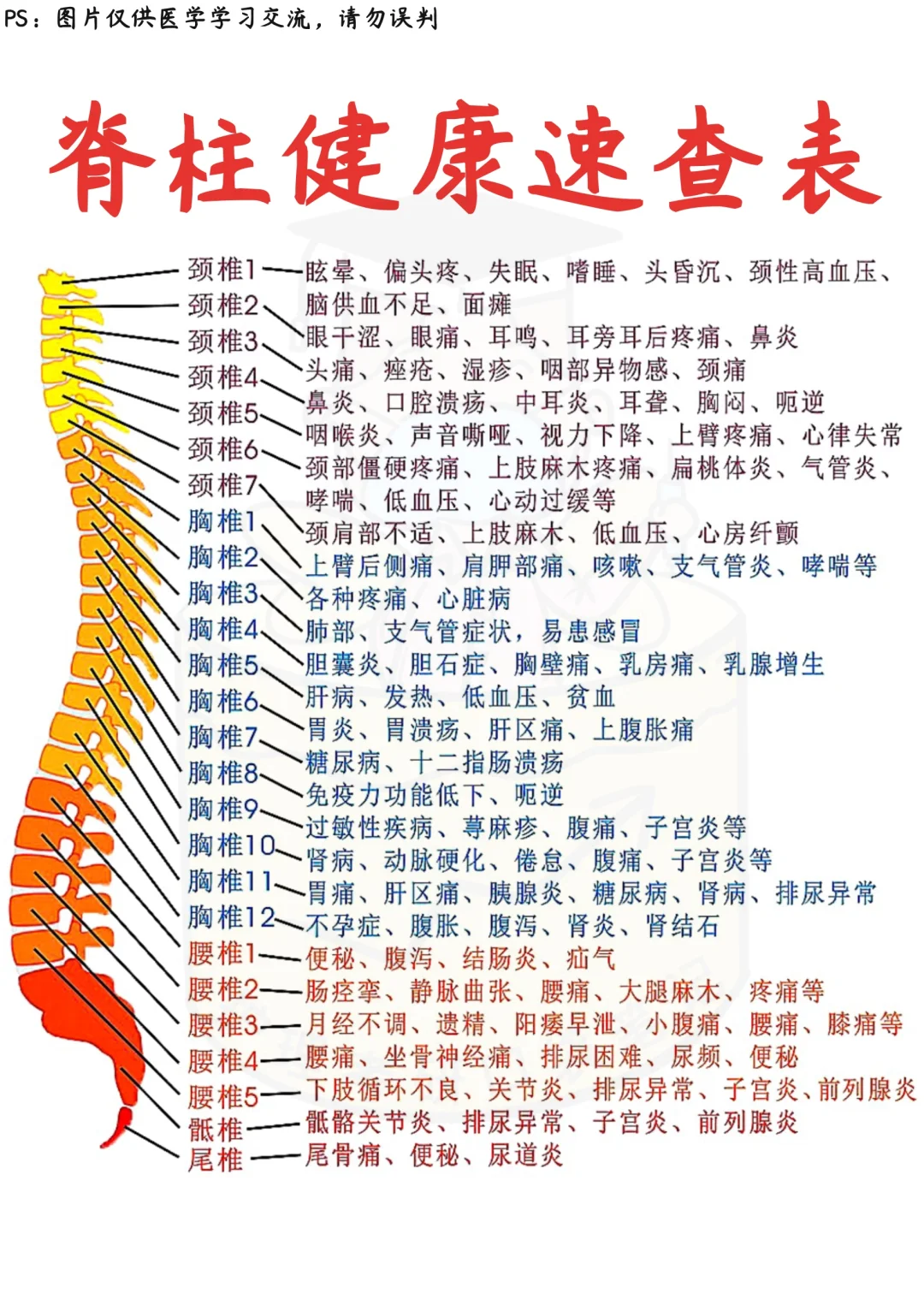 📒医学生笔记｜脊柱✅干货收藏