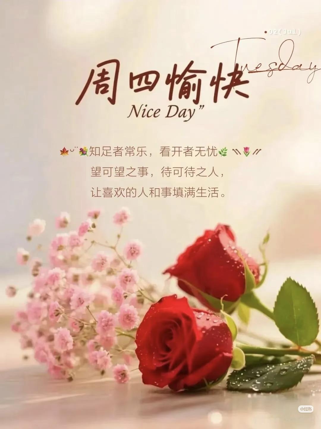 人生就像一盘棋，落下去就不要后悔。过去的对错、走过的弯路，都已过去，不要自责和焦