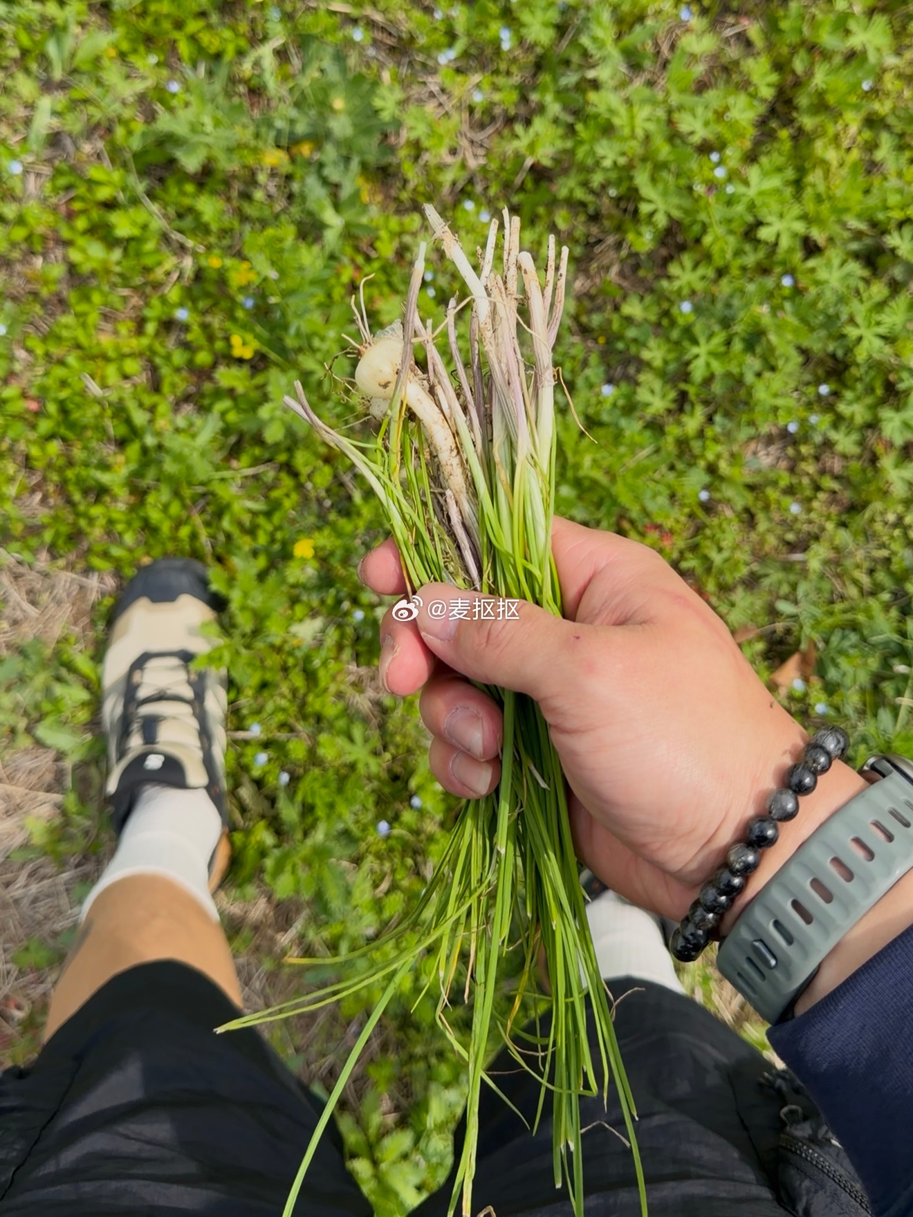 露营🏕️日麦抠抠我的日常plog