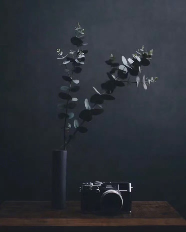 所有的患得患失，都是因为太过在意，放下执念，方能百病皆消。—— 环球读书 