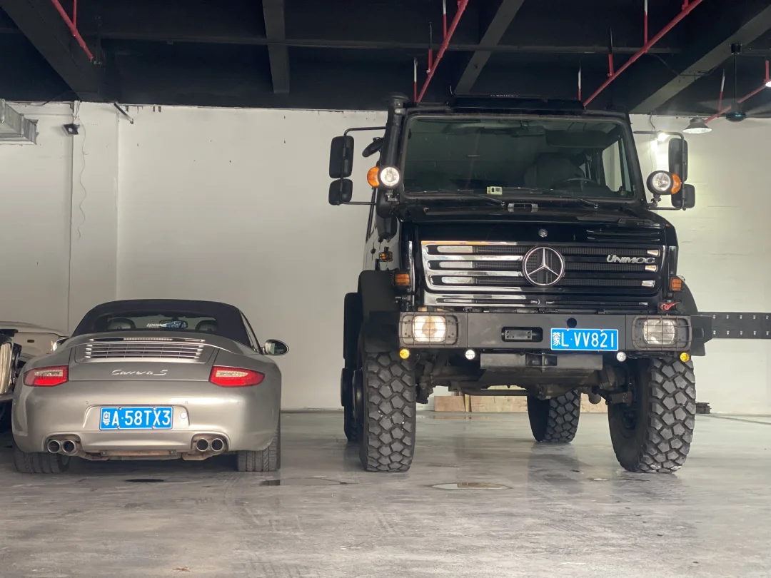 在大黑上安静的陪了它大半个小时