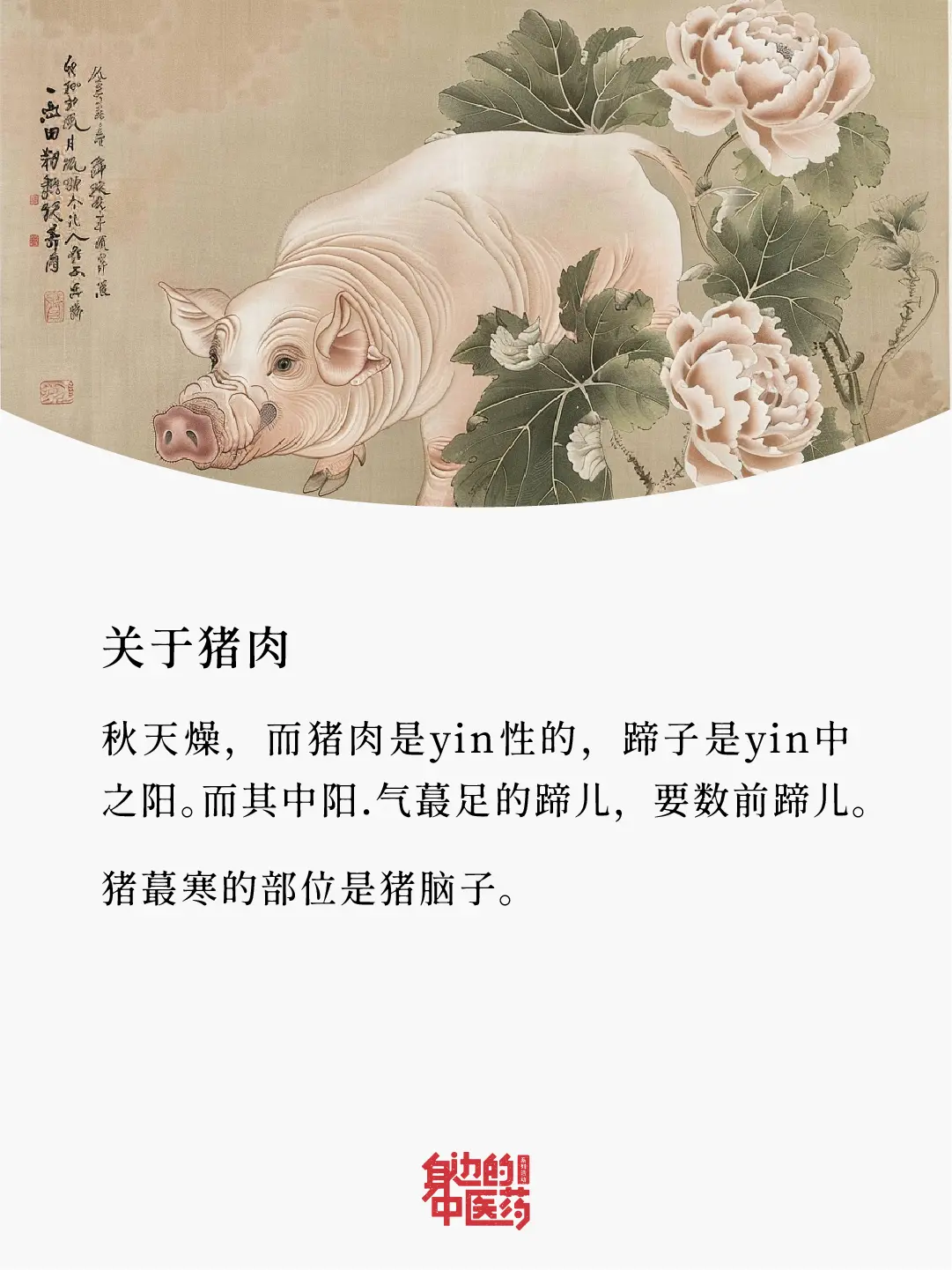 爱吃猪肉的朋友有福了！