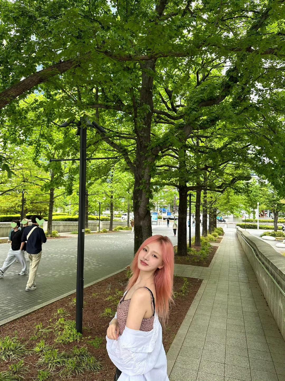 kpop自拍分享Liz ​​​