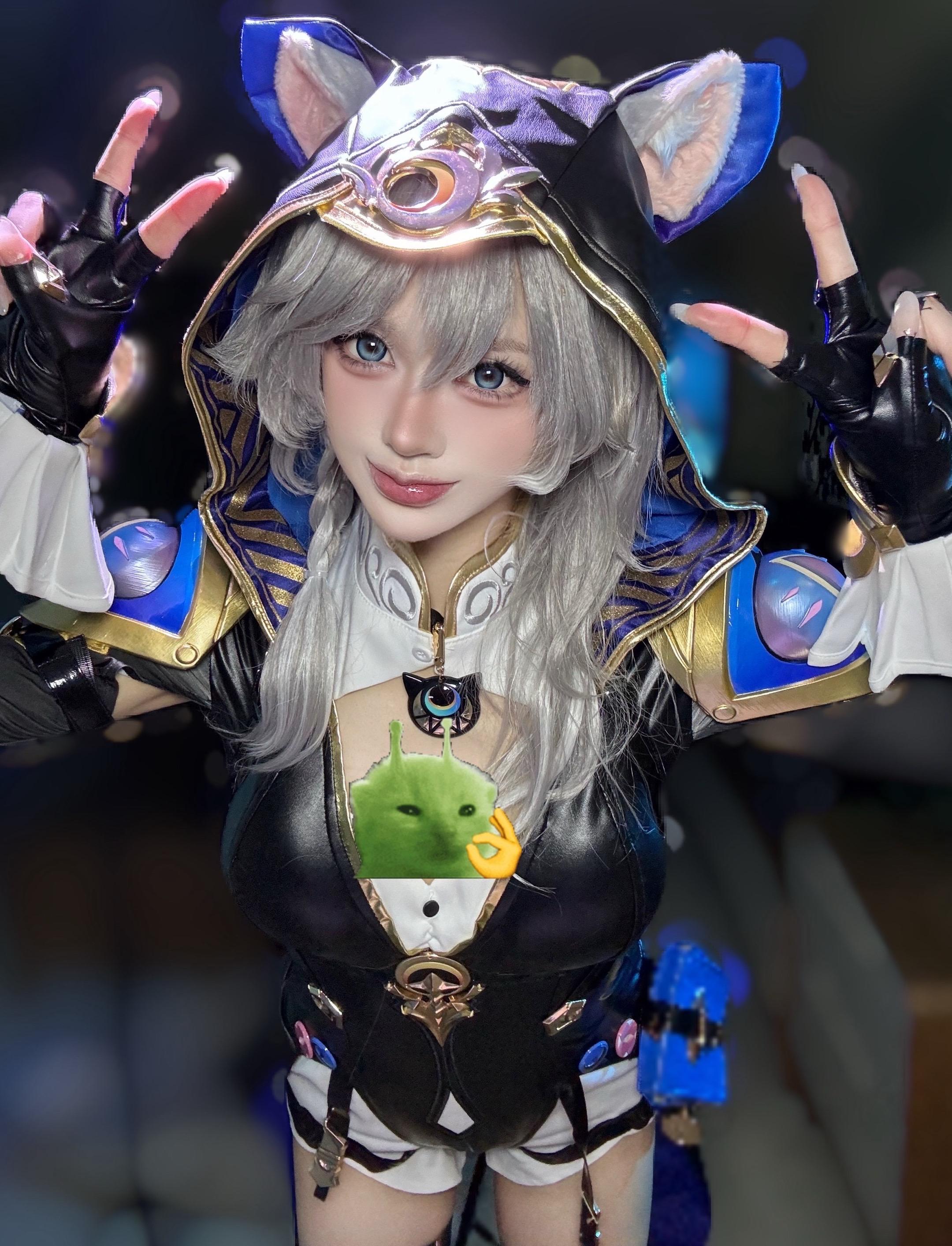 这期是我定制的可爱小猫