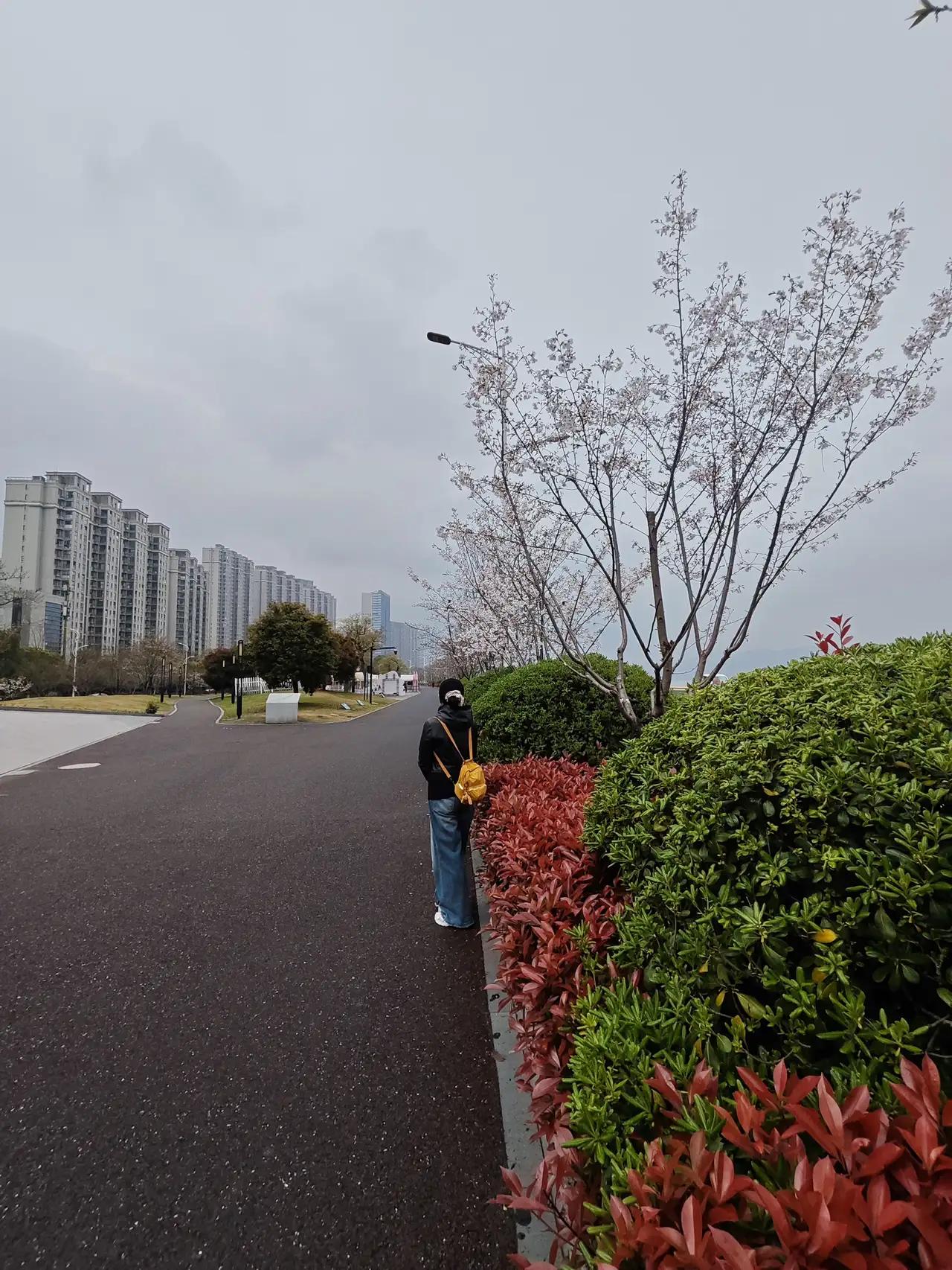 希望我自己的后半生不再拼命的追赶别人，而是好好爱自己。温柔的对待自己，做自己的英