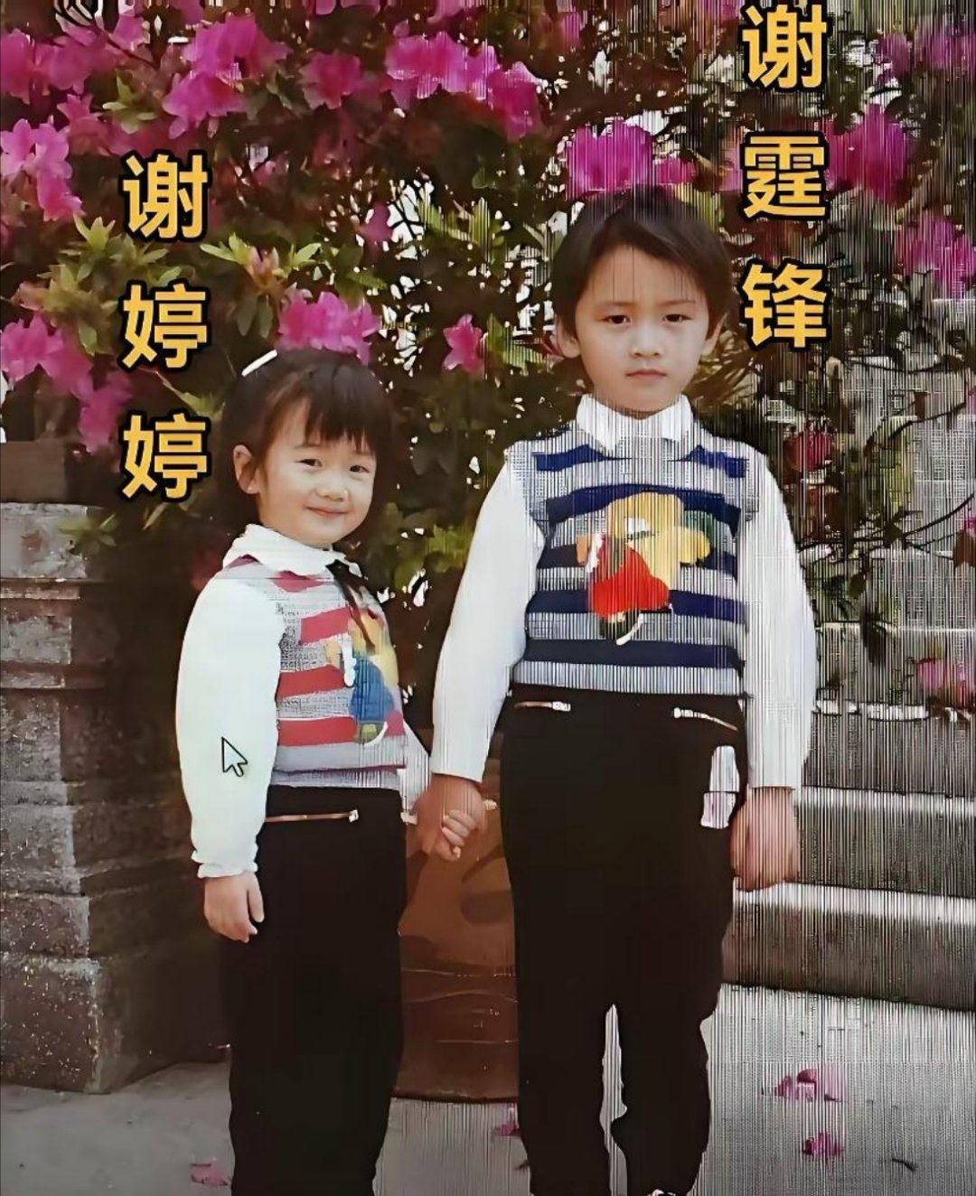 谢霆锋和谢婷婷小时候的合照，能看出基因真是一门玄学！ 