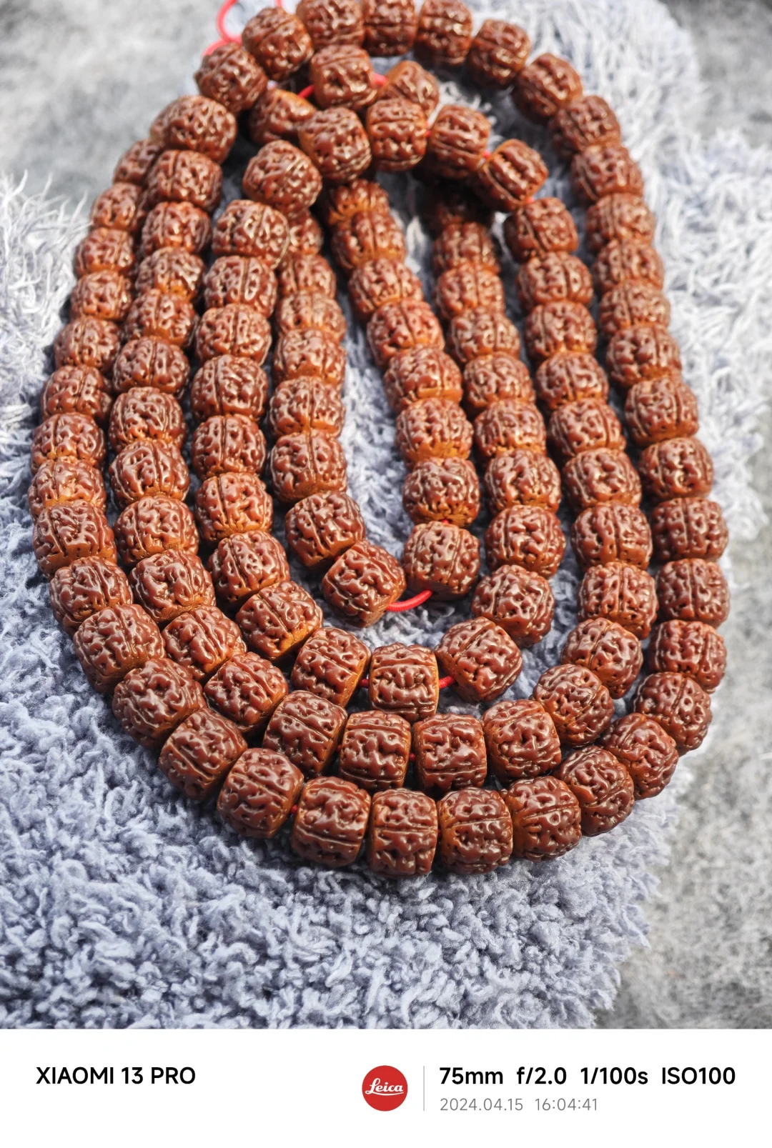 NO.451 三个月玩红小金刚不是梦