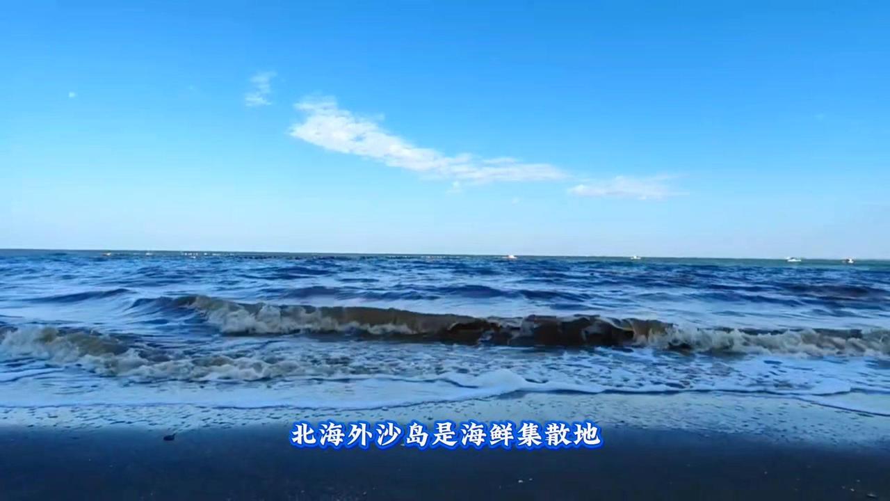 🌊来北海外沙桥吹吹海风吧！✨北海外沙岛是海鲜集散地。
1️⃣在北海人眼中，这里