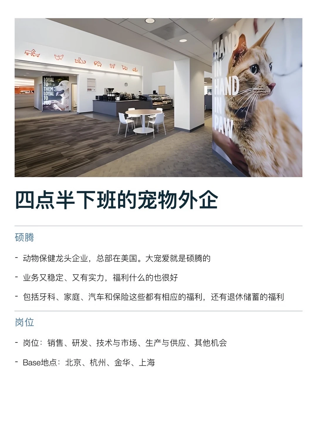 四点半下班的宠物外企，真的没人想来吗？