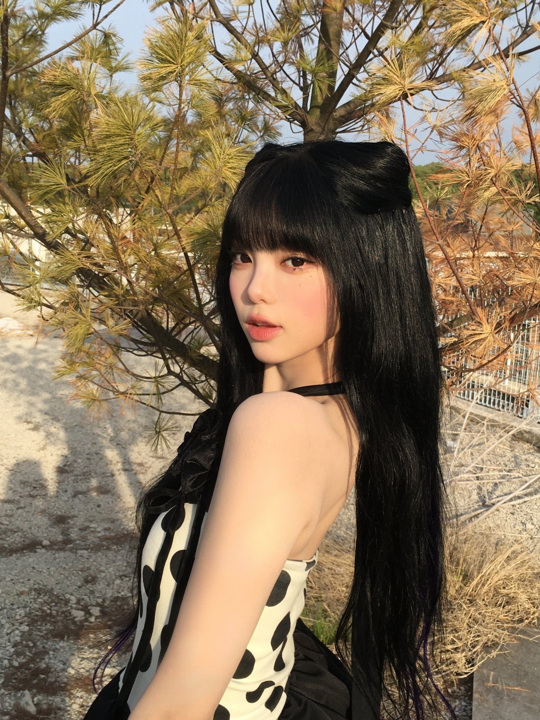咪咪 猪猪 宝贝