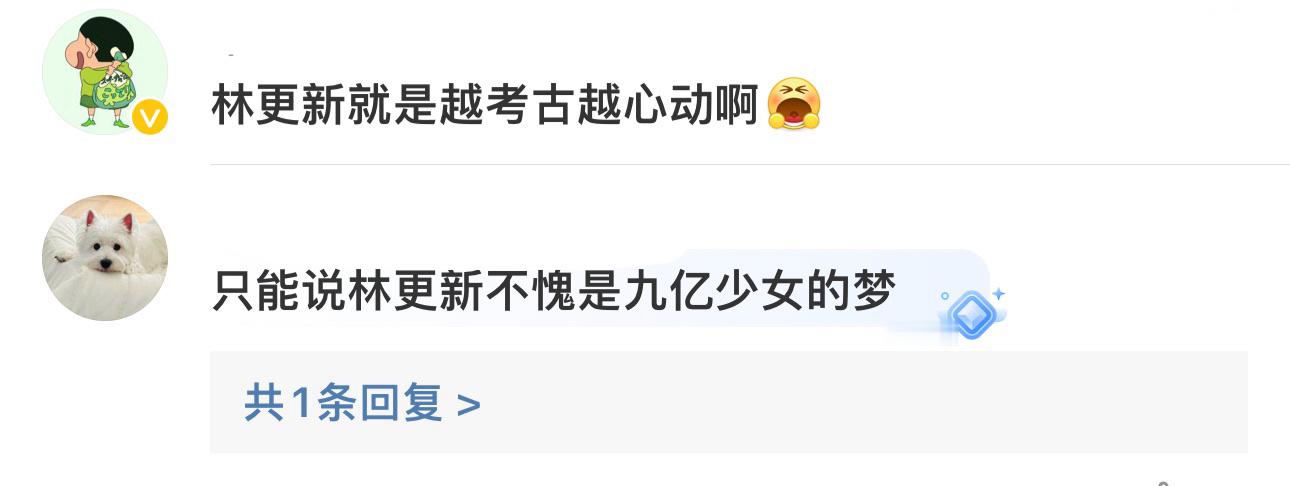 粉丝画林更新的肖像画的不太好被吐槽，林更新安慰她“傻丫头，管别人怎么说呢，我喜欢