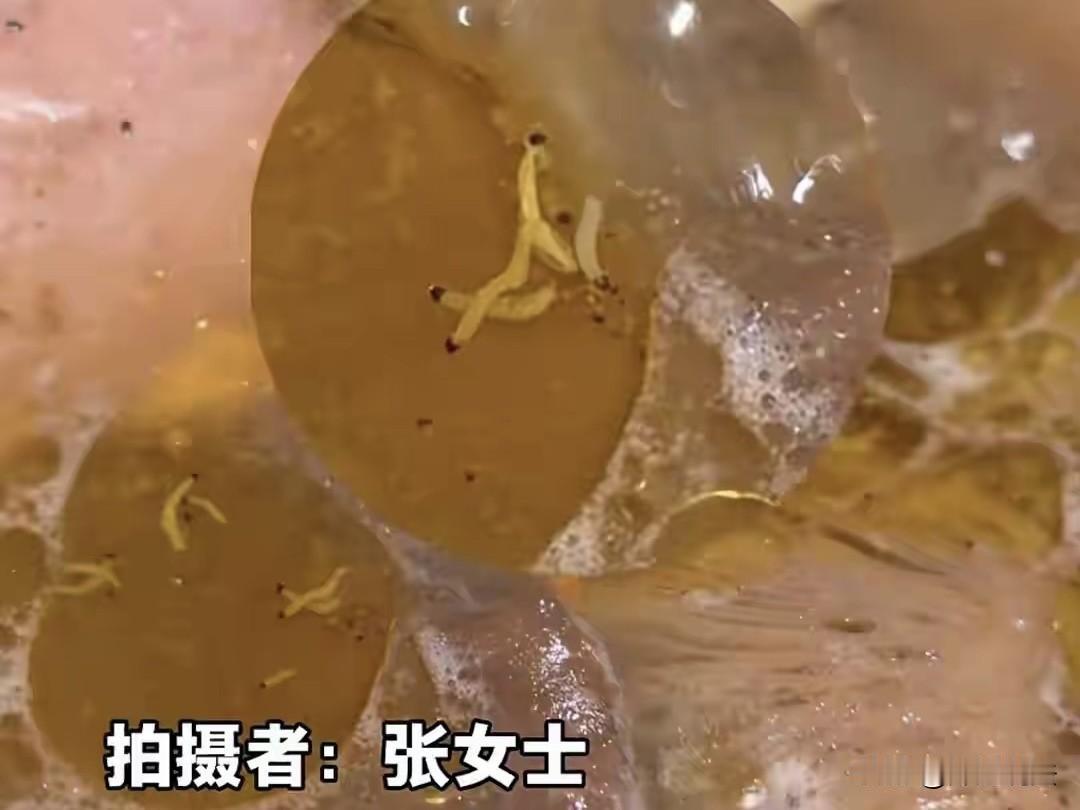 云南昆明，游客在一家饭店中吃菌子火锅，煮熟后发现锅内有很多像蛆一样的小白虫，抓紧
