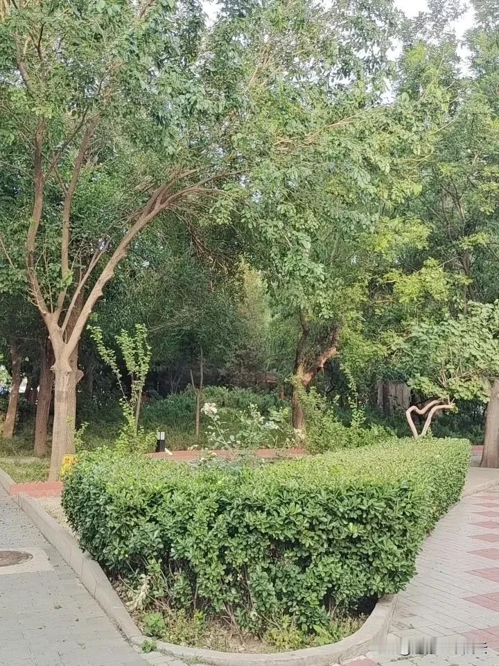 被记在心上
比礼物更重要

等哪天你懂我的时候
我给你讲讲我所有的心事