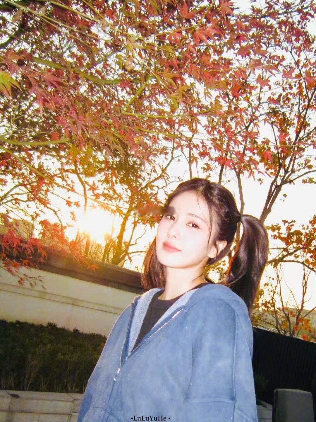 白鹿狐狸塑自带灵光buff白鹿看似朱迪实则尼克 终于等到狐狸塑！看似甜美兔系，实