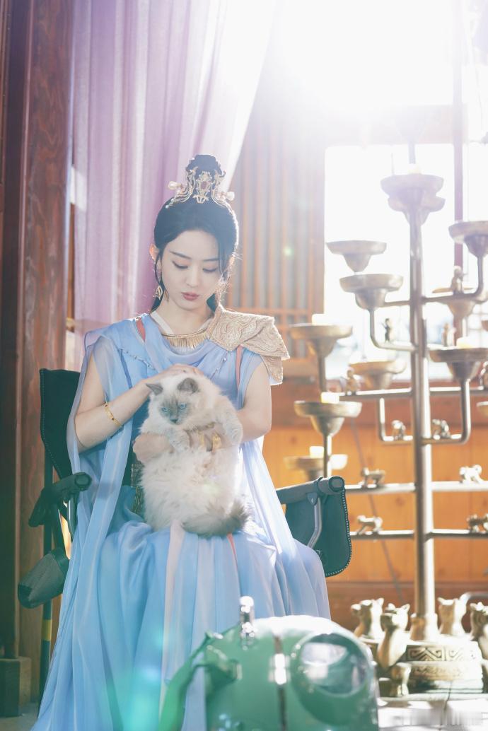 赵丽颖碧苍王撸猫照赵丽颖沈璃和猫贴贴赵丽颖的气质太绝！碧苍王造型搭配温柔撸猫动作