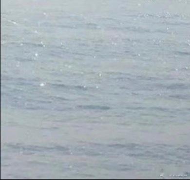 每日一善 只有心里有阳光的人，才能感受到现实的阳光，如果连自己都常苦着脸，那生活