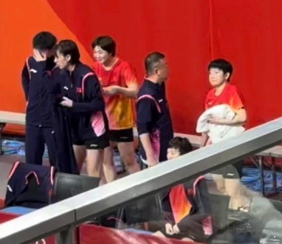 人生百态，压力一只小咪中 ​​​