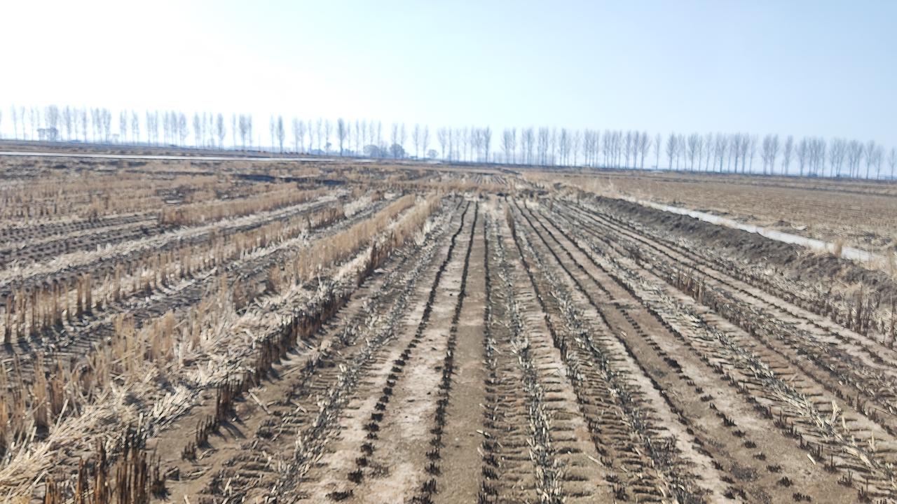 晒图笔记大赛快要开耕了