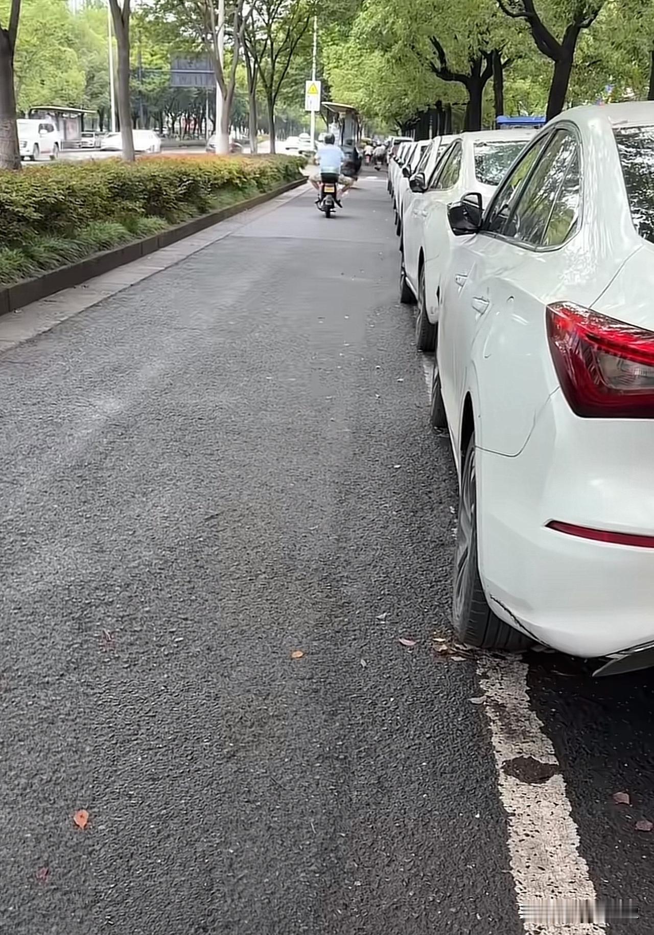 这一排停的全是白颜色的车，为什么大家似乎对白颜色的车情有独钟…