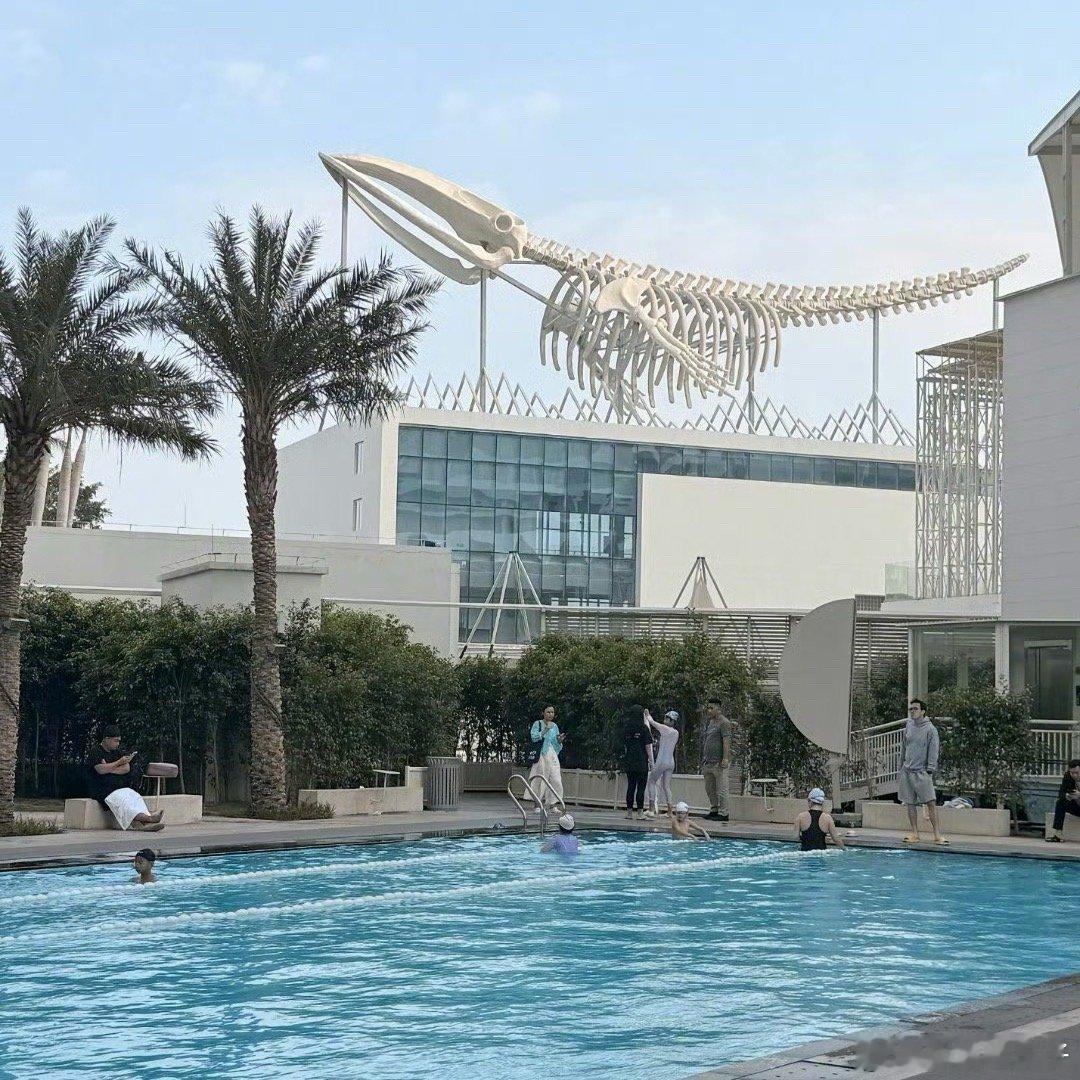 北海阿萨卡出片像呼吸一样简单看来都是工作日去合适，现在价格贵了十倍 