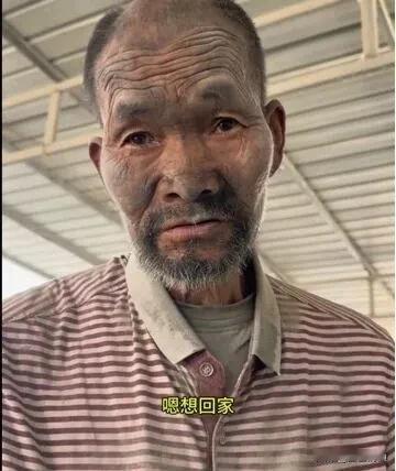 “朋友送我的，死了就埋了。”

听听，这是人说的话吗？说出这句话的，是河北保定一