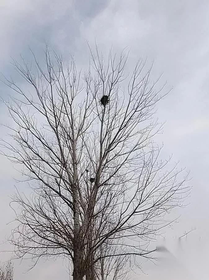 你有没有过这种时刻？

明明没犯大错，却怕失业怕到失眠？

不是你胆小，是手里没