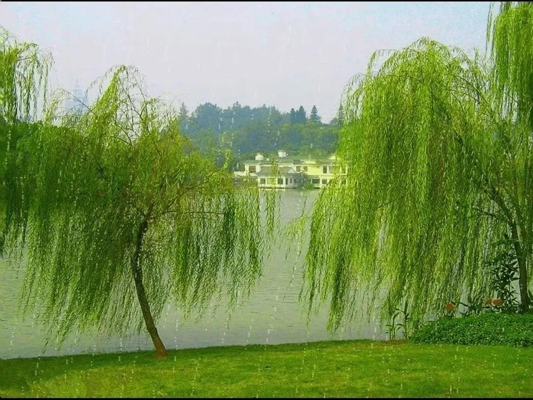 上联：河中水深深浅浅，对下联岸边柳高高低低。城市观查员