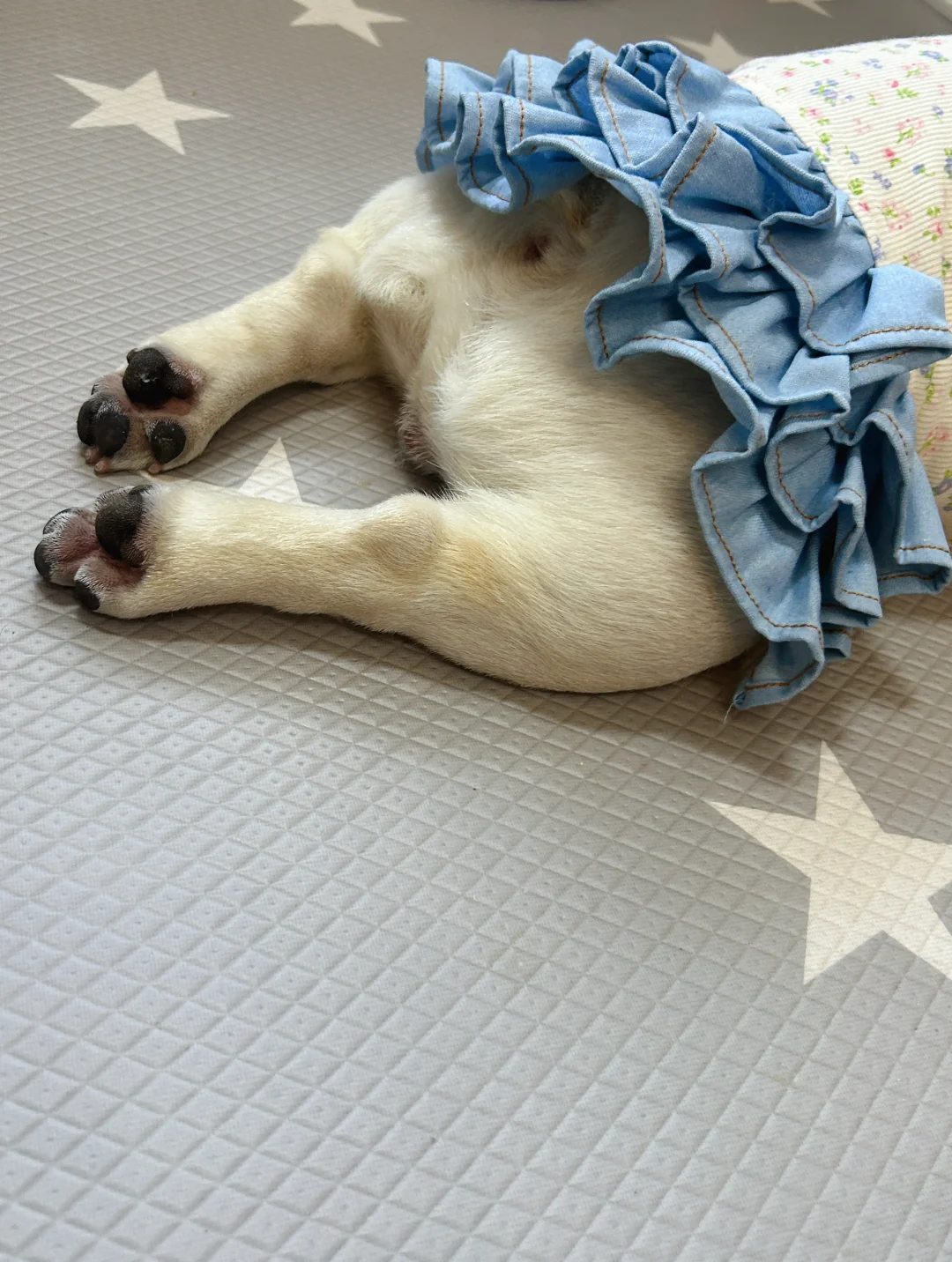 过儿童节啦