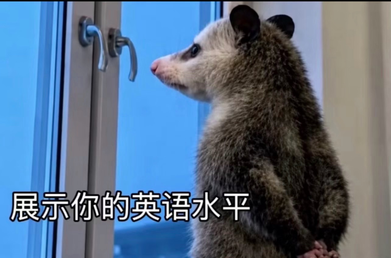 早啊同学们，依旧展示我的英文水平光宗耀祖=make your father bu