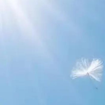 正能量正能量 走好自己的路就要有自己的思考，有坚定的意志，坚持自己的信念，坚持自